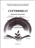 Сертификат за лучшую дидактическую игру по ФЭМП у детей дошкольного возраста в старшей группе (август, 2017г.) Сертификат за лучшую дидактическую игру по ФЭМП у детей дошкольного возраста в старшей группе (август, 2017г.)